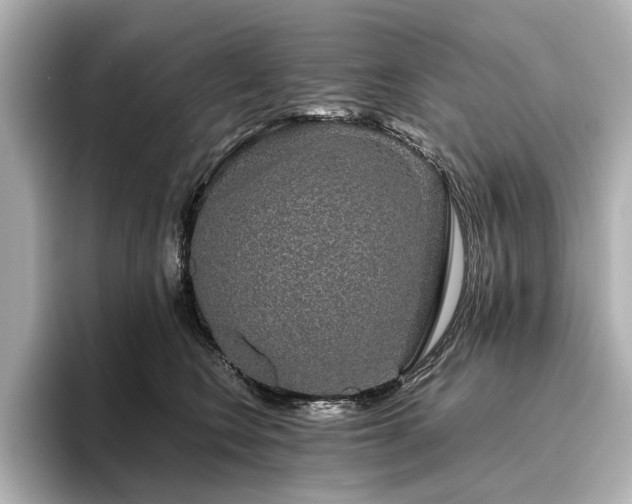 X0000096480566200801241447