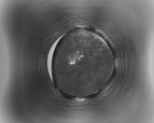 X0000096480570200801241447