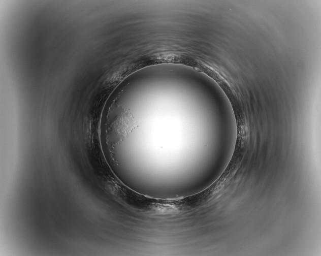 X0000096480572200801241447