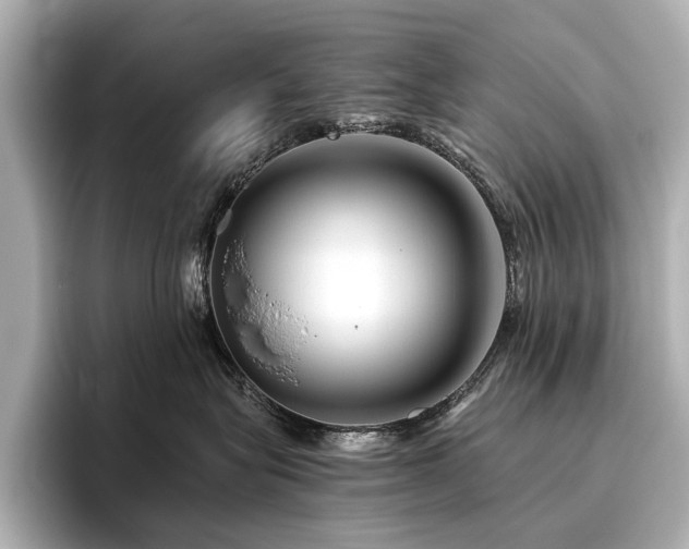 X0000096480575200801241447