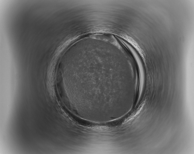 X0000096480577200801241446