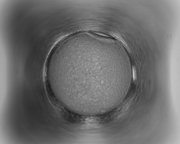 X0000096480579200801241446