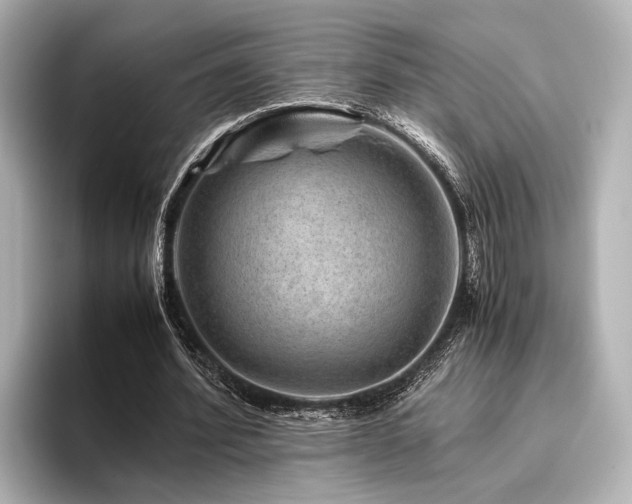 X0000096480580200801241446