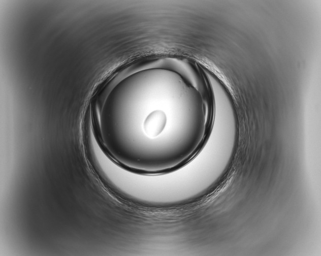 X0000096480581200801241446