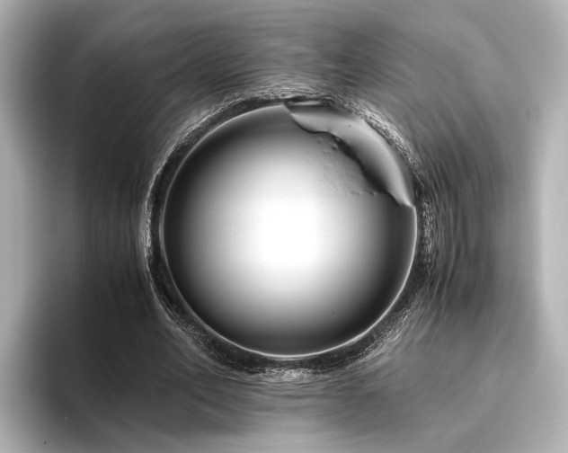 X0000096480582200801241446