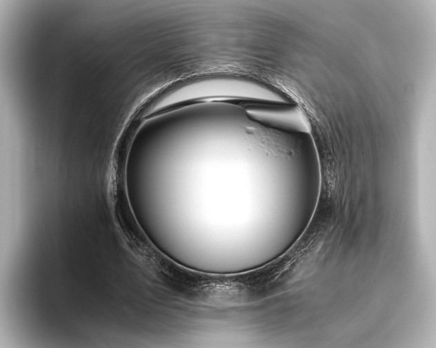 X0000096480583200801241446