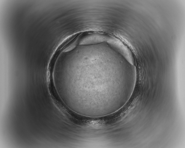 X0000096480584200801241446