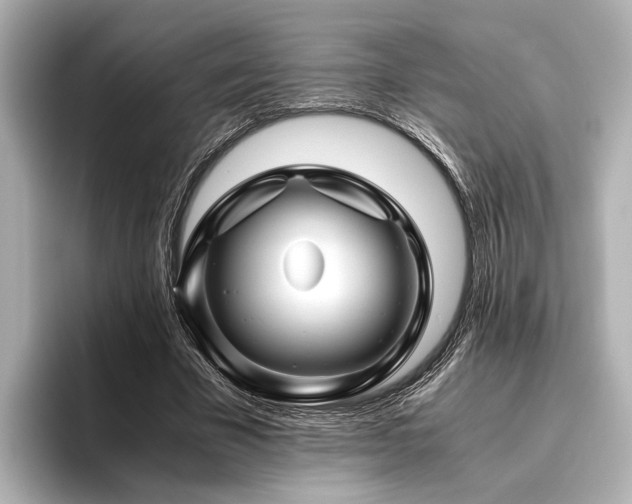 X0000096480585200801241446