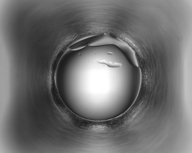 X0000096480586200801241446