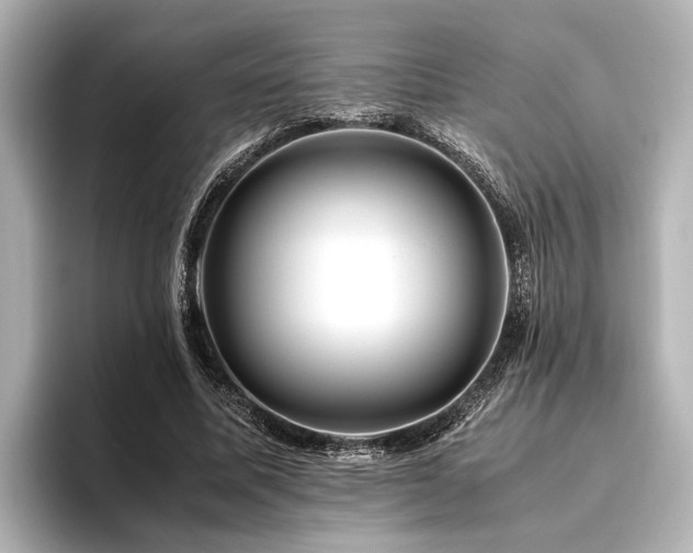 X0000096480587200801241446