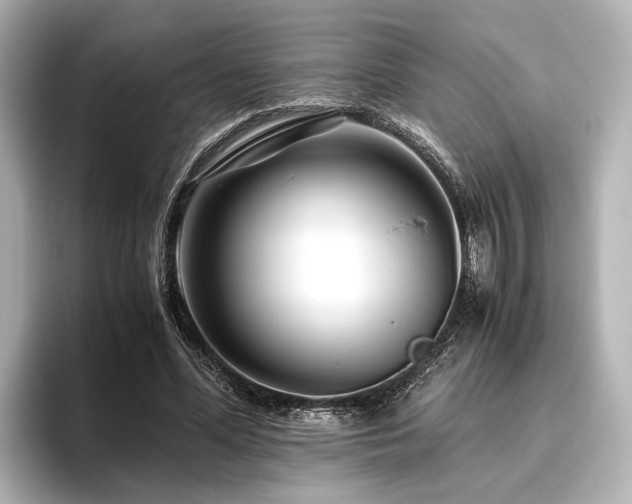 X0000096480588200801241446