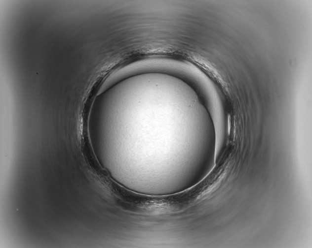 X0000096480589200801241446