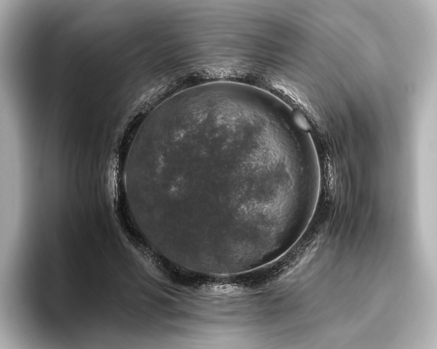 X0000096480590200801241446