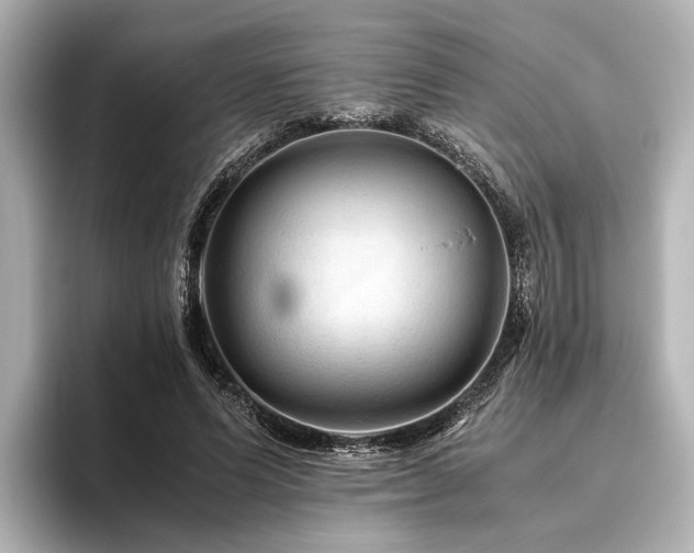 X0000096480591200801241446