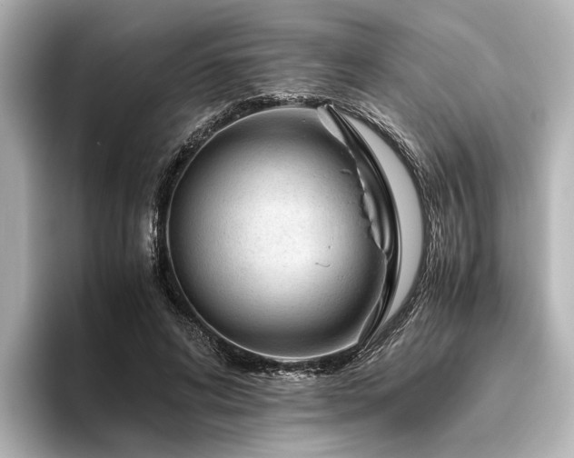 X0000096480592200801241446