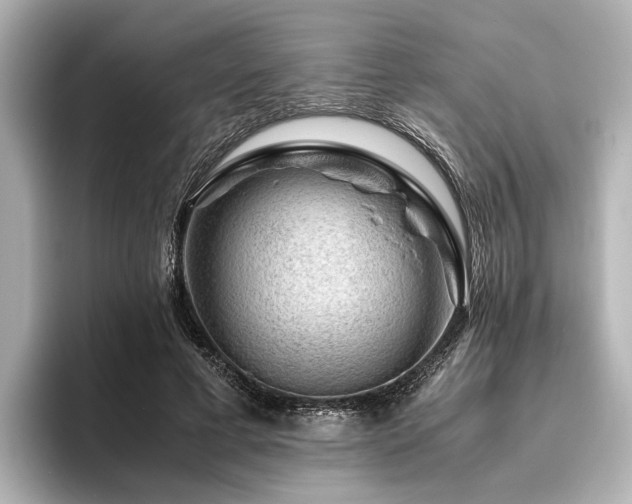 X0000096480593200801241446