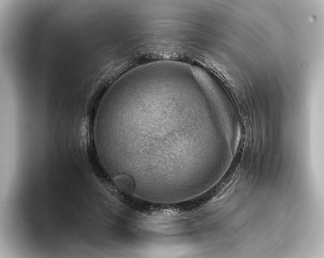 X0000096480594200801241446