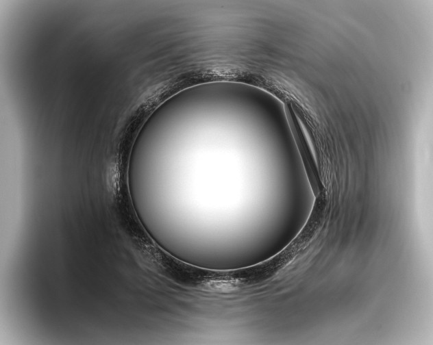 X0000096480595200801241446