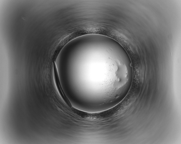 X0000096480596200801241446