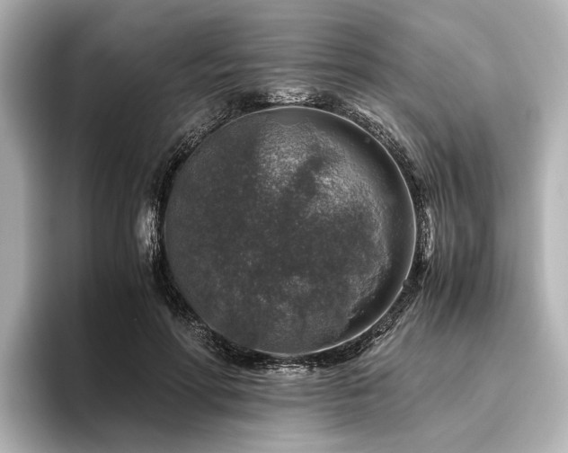 X0000096480598200801241446