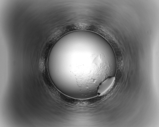 X0000096480599200801241446