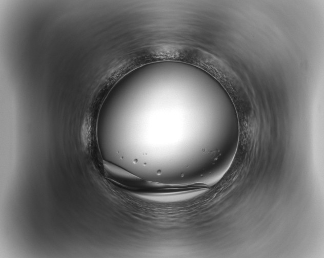 X0000096480600200801241446