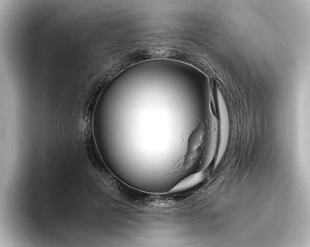 X0000096480601200801241446