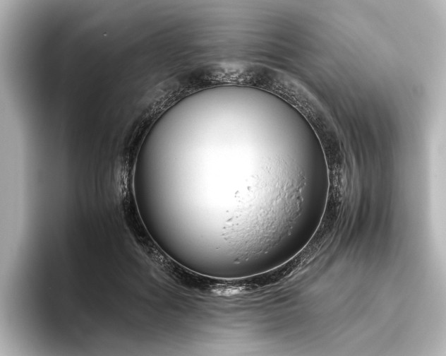 X0000096480602200801241446