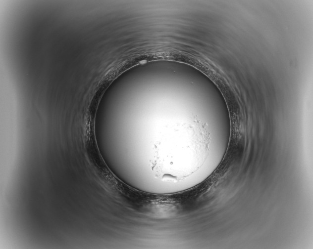 X0000096480603200801241446