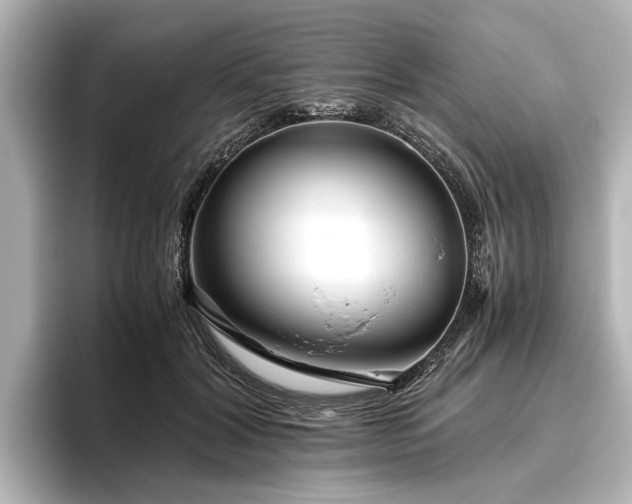 X0000096480604200801241446