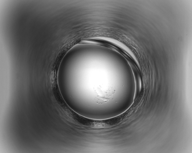 X0000096480605200801241446