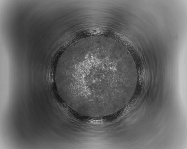 X0000096480606200801241446