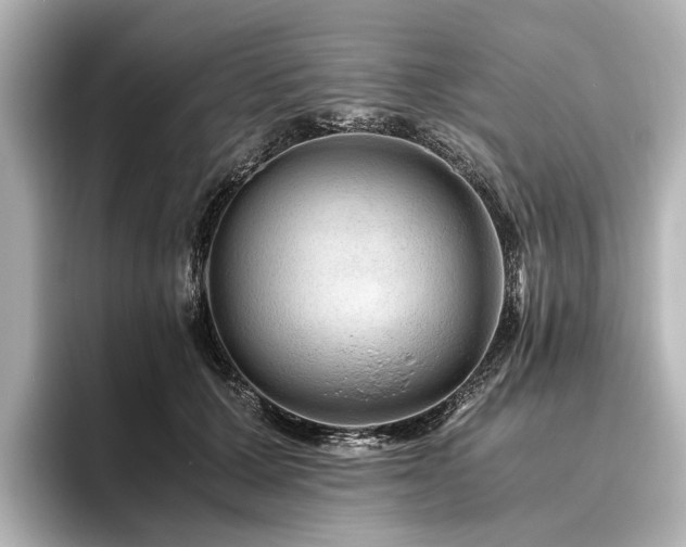 X0000096480607200801241446