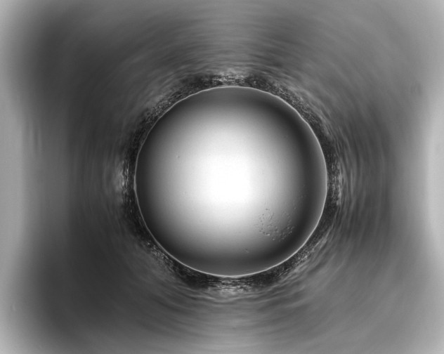 X0000096480608200801241446