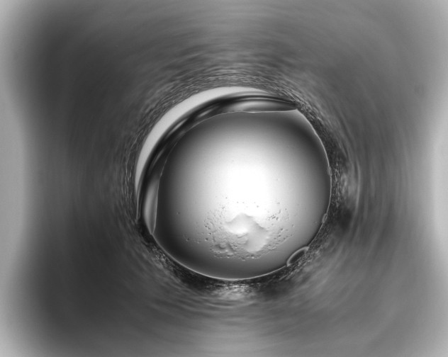 X0000096480609200801241446