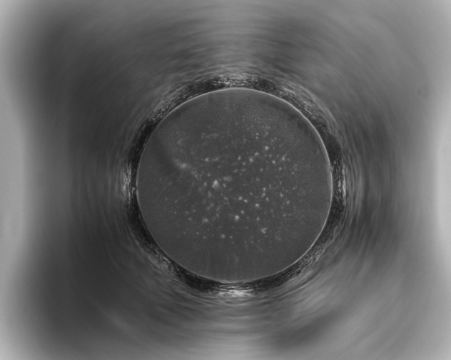 X0000096480610200801241446