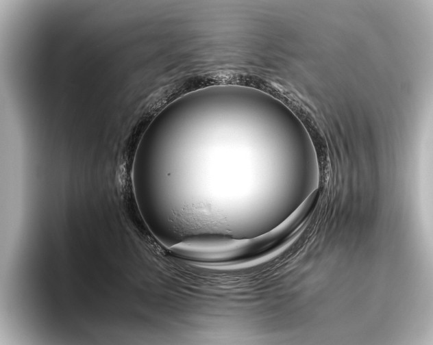 X0000096480611200801241446