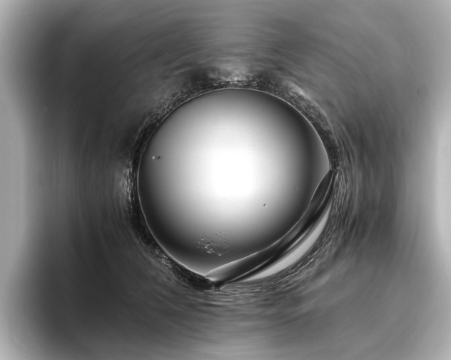 X0000096480612200801241446