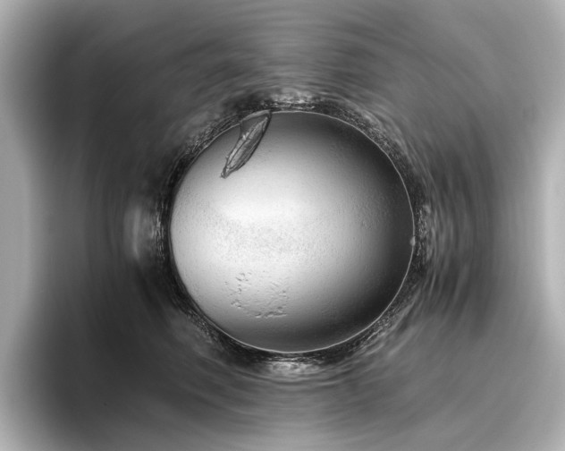 X0000096480614200801241446