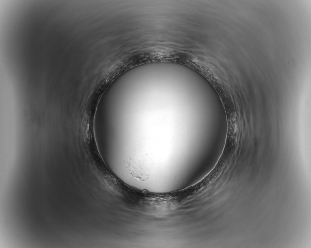 X0000096480615200801241446