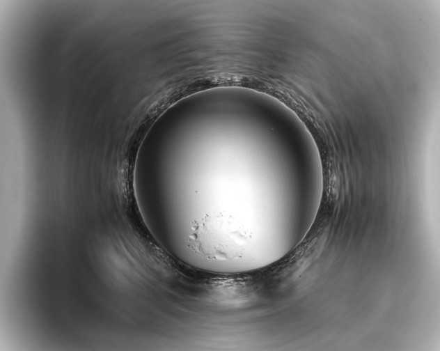 X0000096480616200801241446