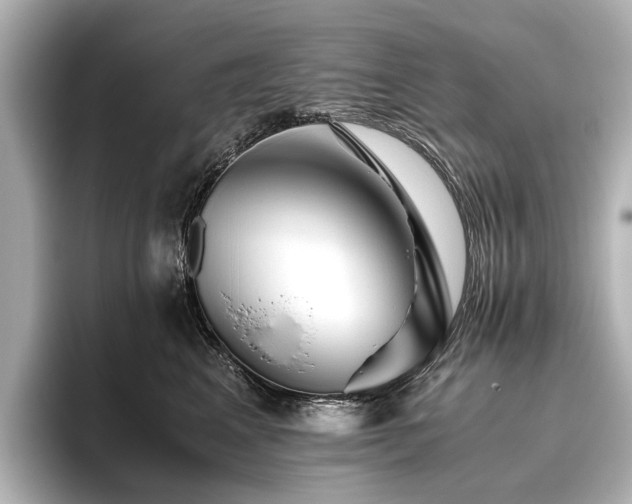 X0000096480617200801241446