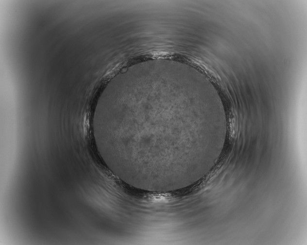 X0000096480618200801241446