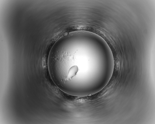 X0000096480620200801241445