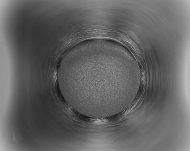 X0000096480621200801241445