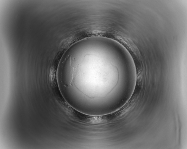 X0000096480623200801241445