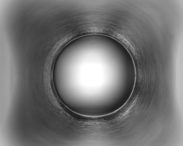 X0000096480625200801241445