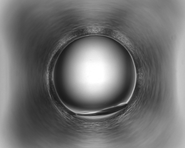 X0000096480626200801241445