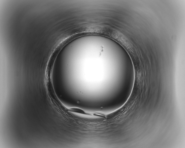 X0000096480628200801241445