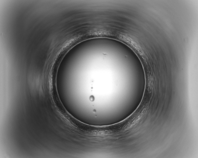 X0000096480629200801241445